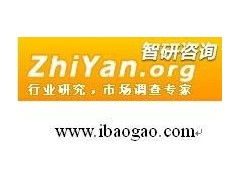 中国城市信息化建设市场竞争格局及投资战略咨询报告